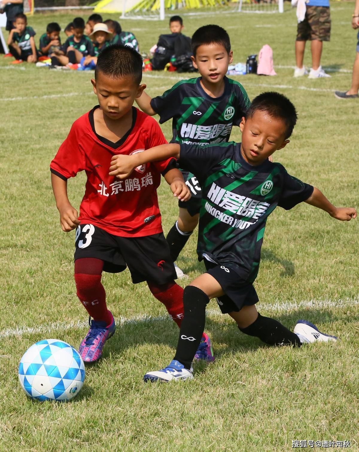 关于深圳男篮内部会议纪要流出：窗口期队长鼓劲，意大利杯使命明确，年轻球员得到机会的信息